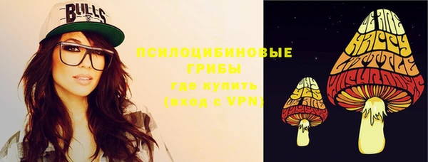дурь Лабытнанги