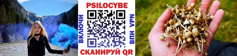 где продают   Полесск  Псилоцибиновые грибы мухоморы 
